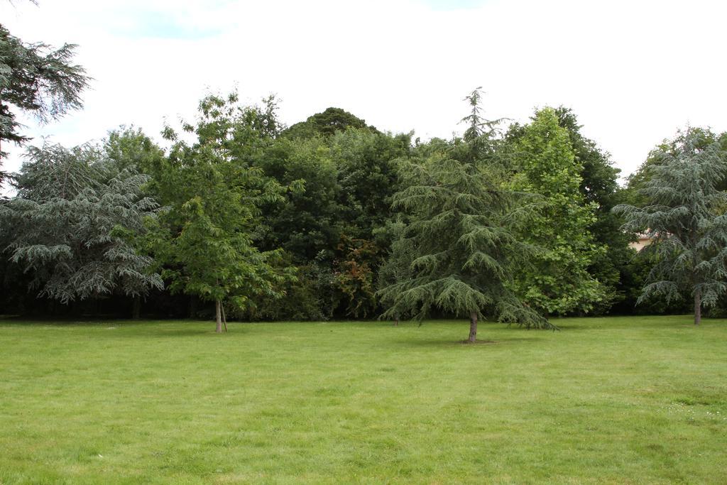 Chateau Du Bois De La Noe Bouaye Exterior photo